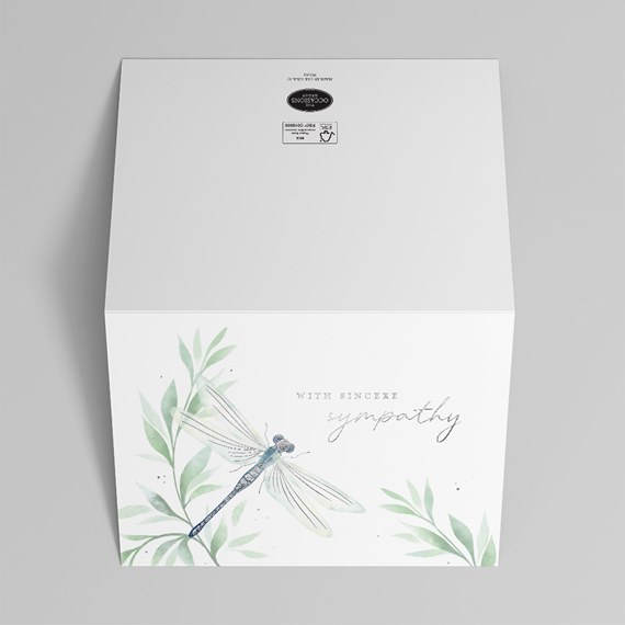 dragonfly illustration with text placeholder