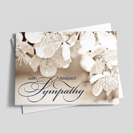 Softly Sympathetic