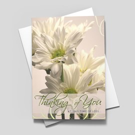 Daisy Thinking of You