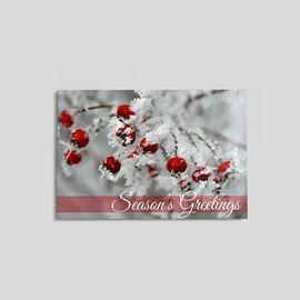 Snow Berries Holiday Postcard