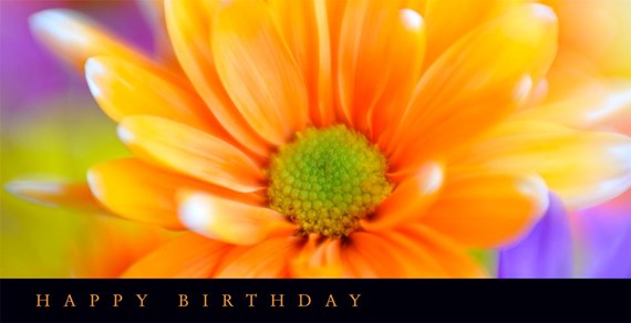 Delightful Daisy Birthday Card