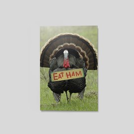 Eat Ham Thanksgiving Postcard