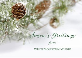 Holiday Evergreen Christmas Card