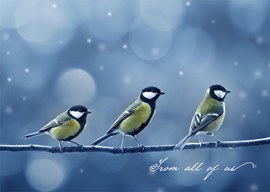 Three Chickadees Holiday Card