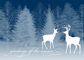 Winter Silhouette Holiday Card