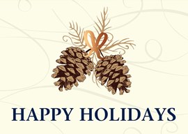 Two Pinecones Holiday Card