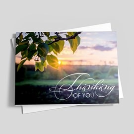 Dawn Grove Thinking of You Card