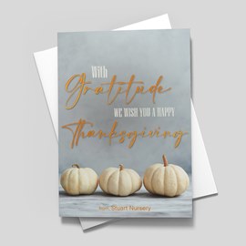 Smoky Pumpkins Thanksgiving Card
