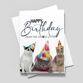 Whole Litter Birthday Card