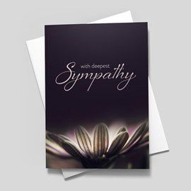 Midnight Flower Sympathy Card