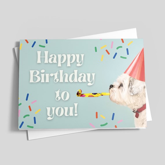 birthday card with dog and colorful sprinkles