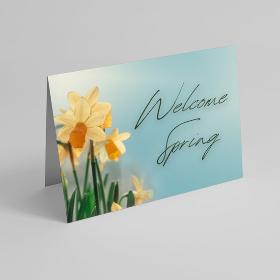 spring greeting card with daffodils and text placeholder