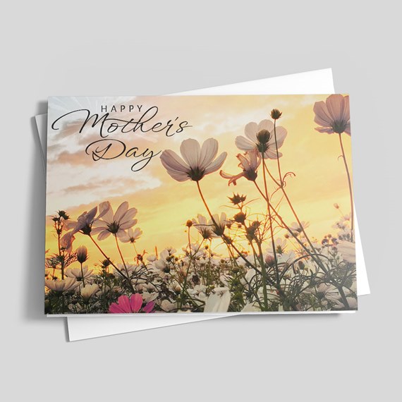 floral greeting card with sunset background and text