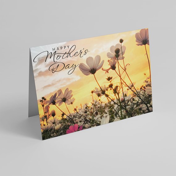 greeting card with flowers and sunset, photo area