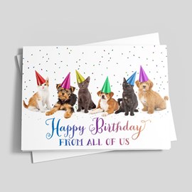 Cats and Dogs Birthday
