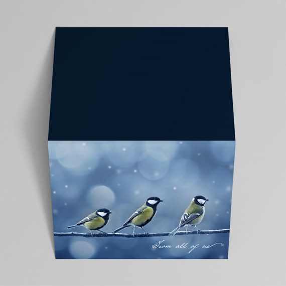 box with birds and text