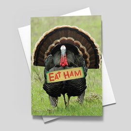 Turkey Day Thanksgiving Card