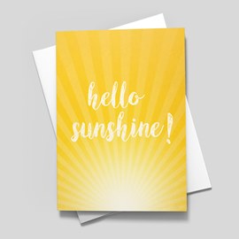 hello sunshine!