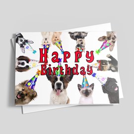 Party Pets Birthday Card
