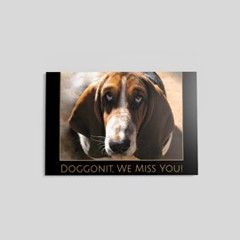 Doggonit We Miss You Postcard